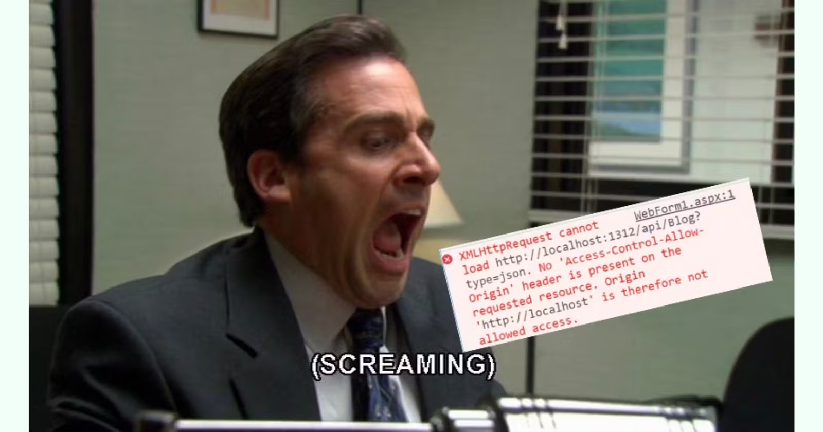 Michael Scott screaming at CORS issue